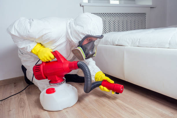 Best Residential Pest Control  in Constantine, MI